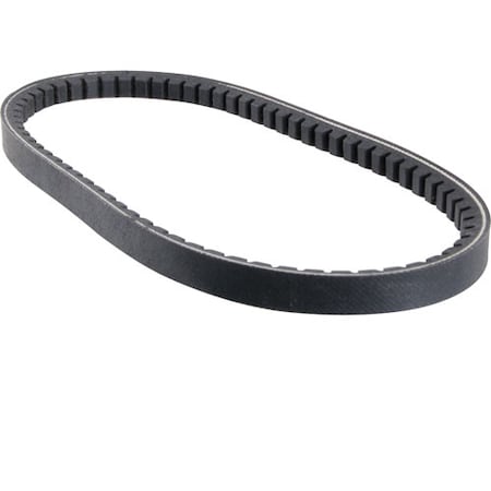 Allpoints Belt, Ax22 1591160
